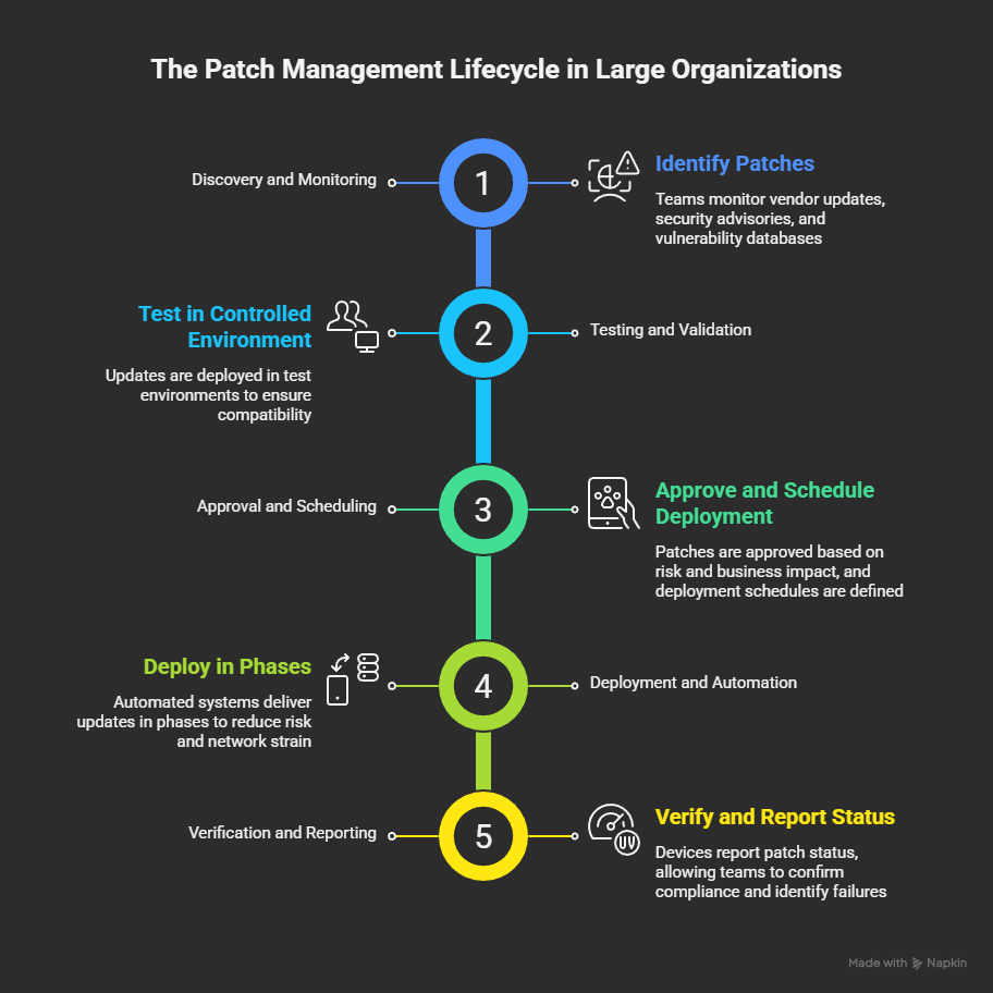 Patch Management Lifecycle